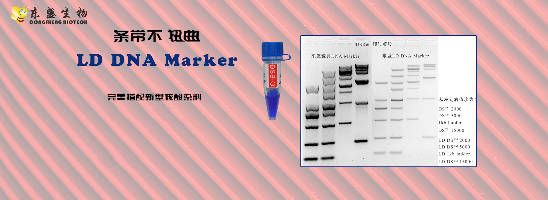 彩名堂-精准展望, 专业剖析